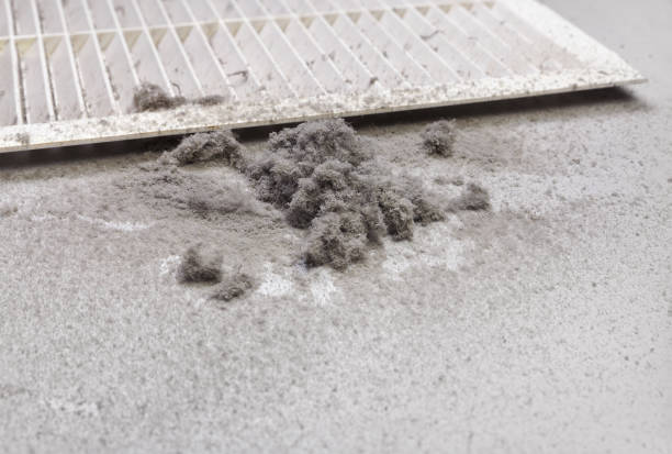 Best Air Duct Cleaning Company Near Me  in Sparks, NV