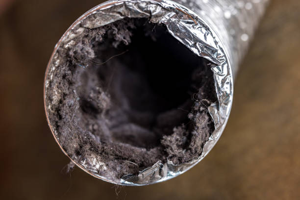 Best HVAC Air Duct Cleaning  in Sparks, NV